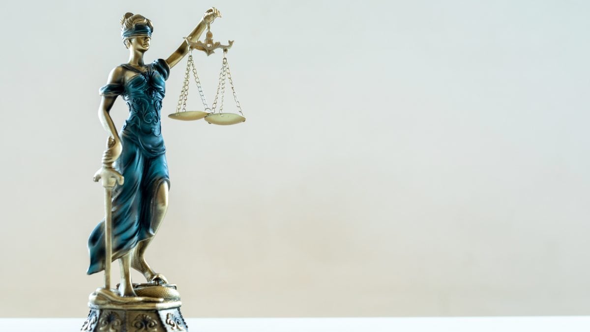 Art. 42 della Costituzione