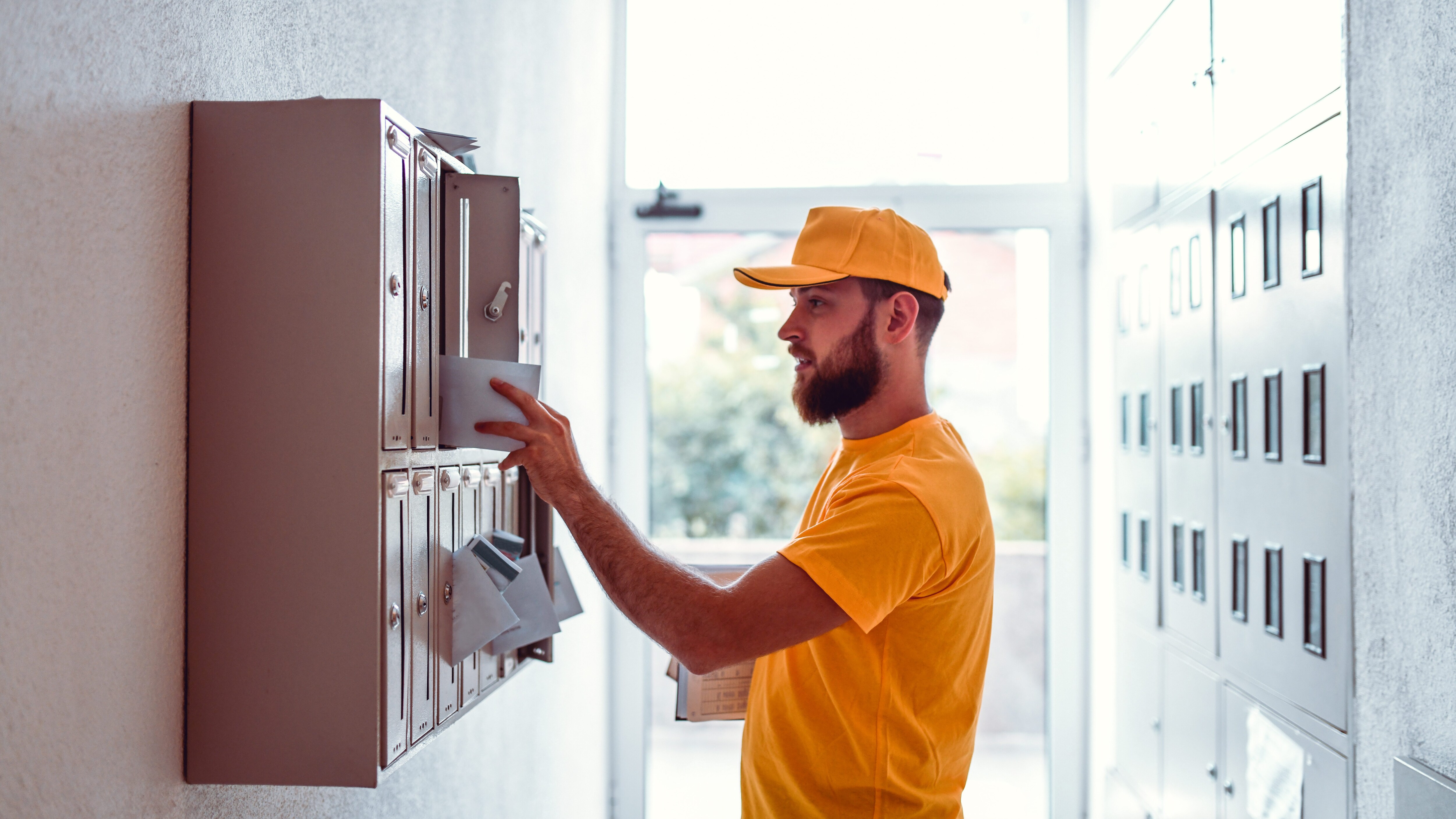 Raccomandata Market 688: cosa contiene