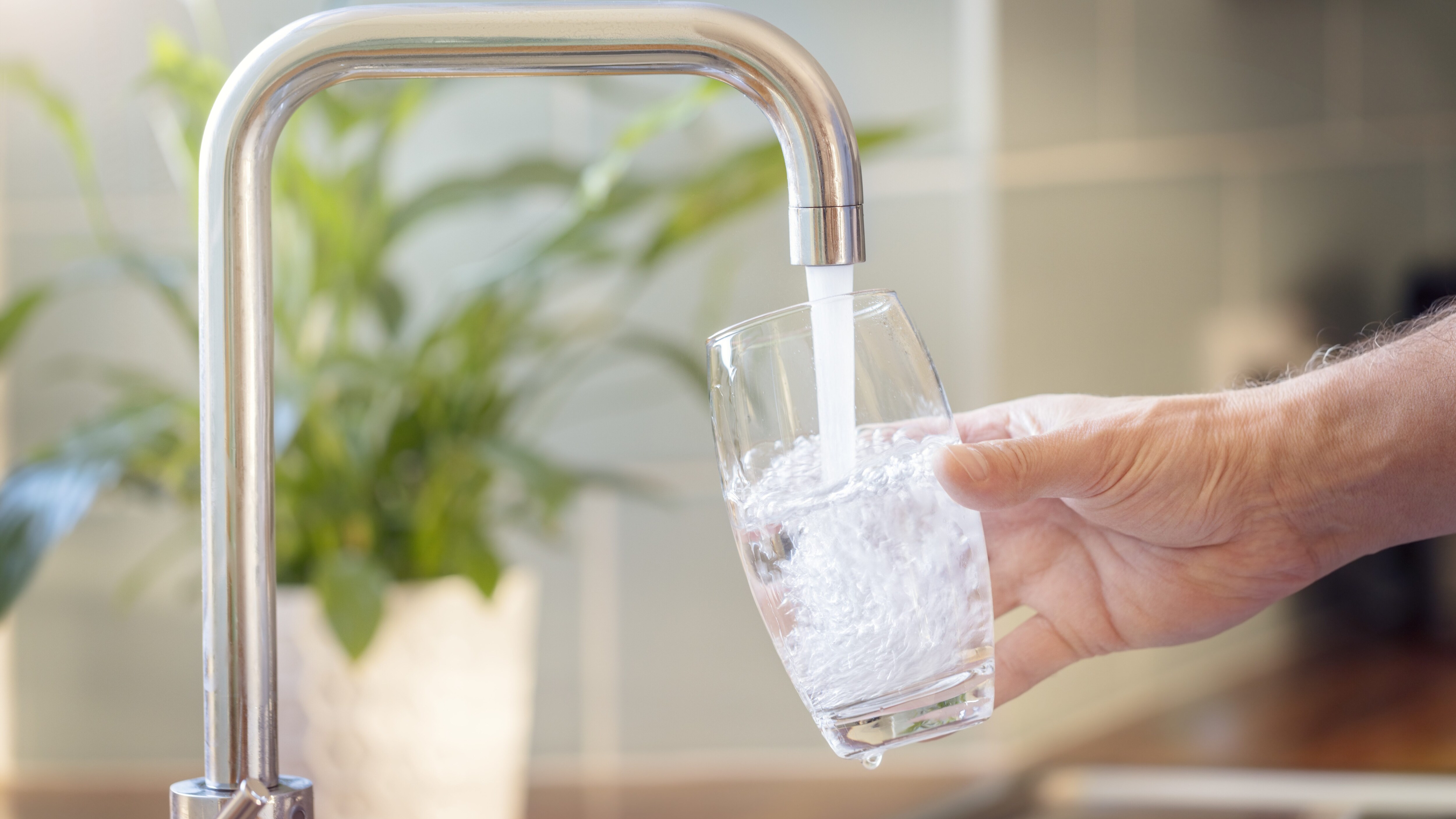 Bonus acqua potabile 2024, via alle domande da febbraio: ecco come si ottiene