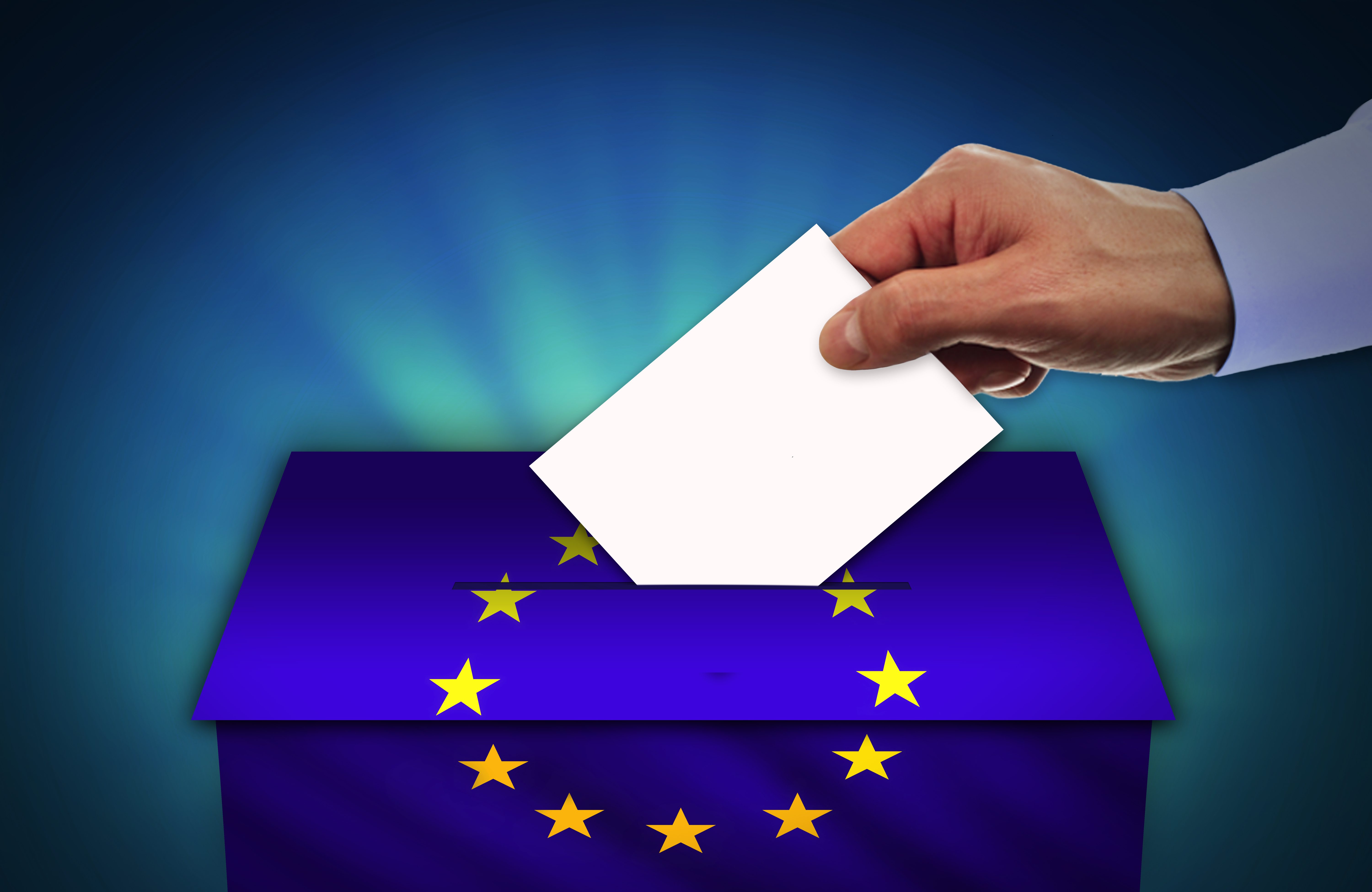 Elezioni Europee 2025 Italia Come Si Votary Meaning