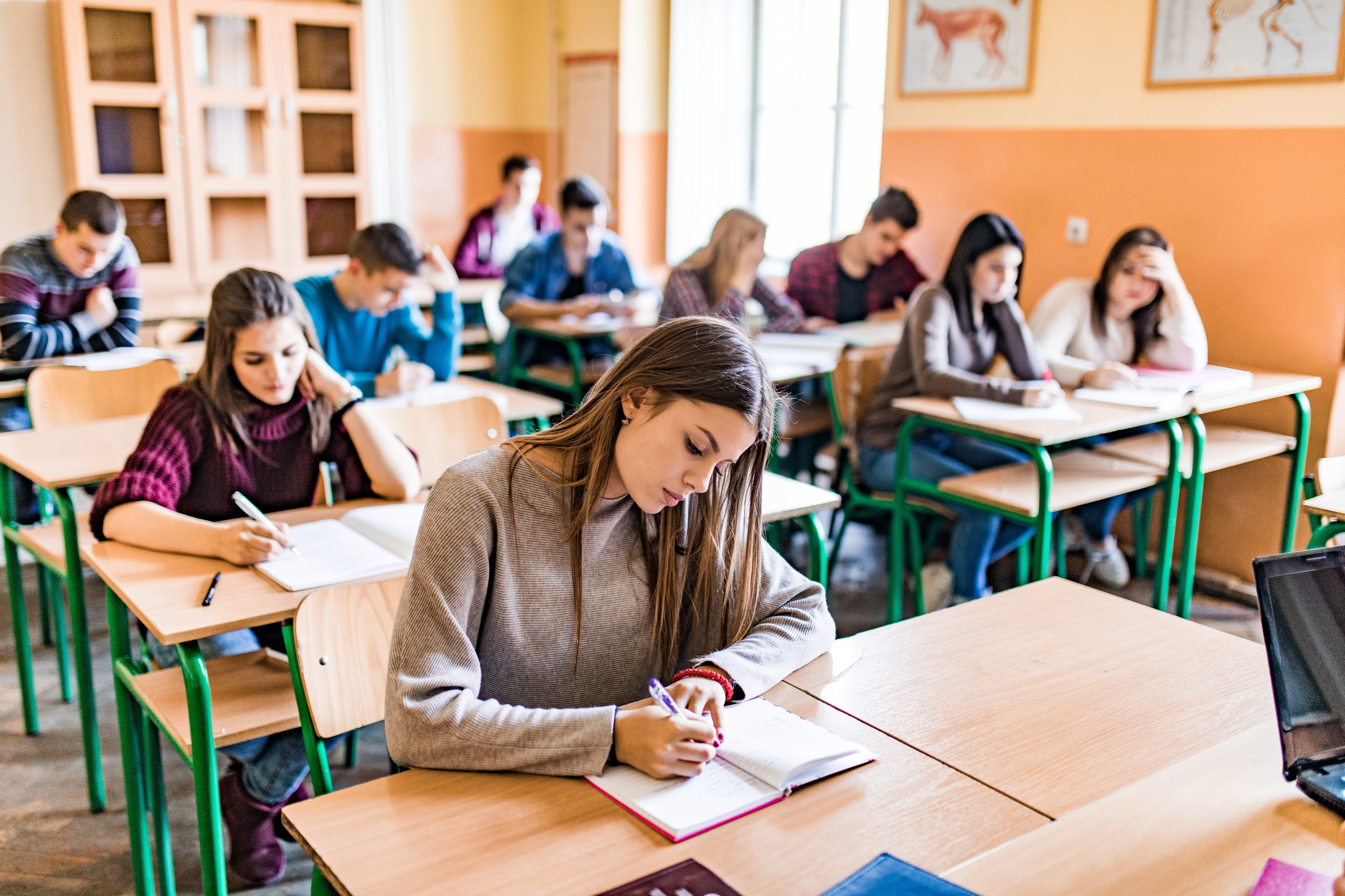 Quanto guadagnano i componenti della commissione dell'esame di maturità