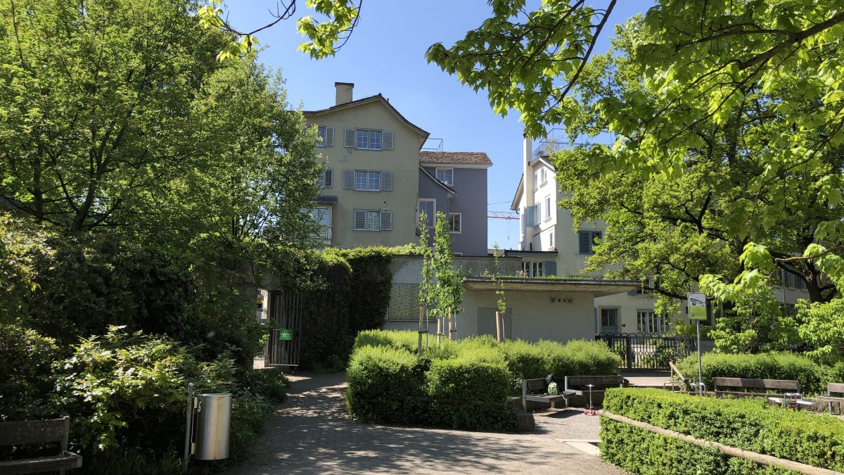 Condominio: l'abbattimento degli alberi è un'innovazione vietata