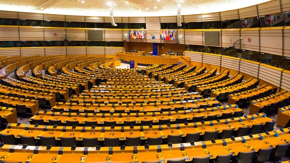 Parlamento Ue, l'aborto sicuro e legale nella Carta dei diritti fondamentali