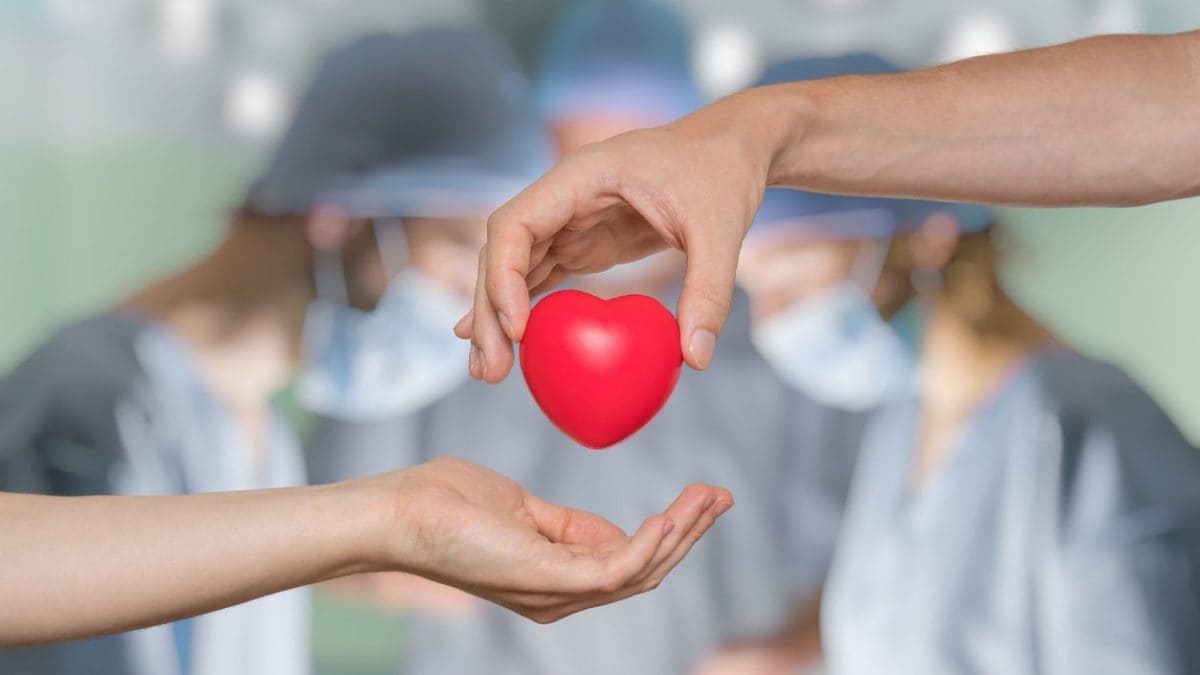 Spese per trapianto degli organi detraibili al 19% nel 730 2024