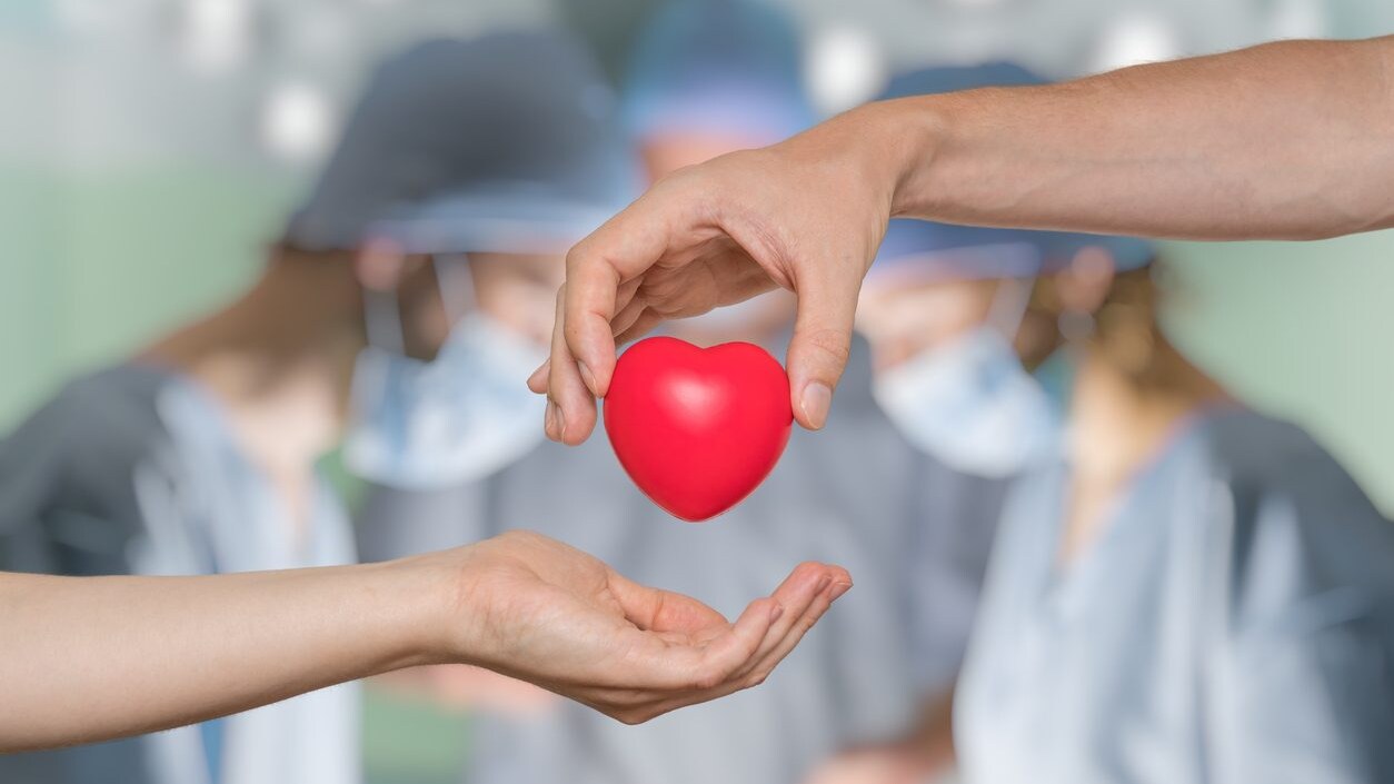 Spese per trapianto degli organi detraibili al 19% nel 730 2024