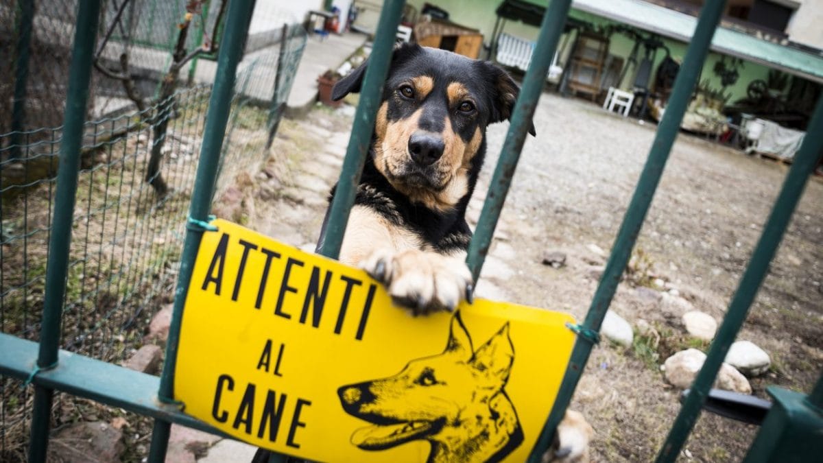 È obbligatorio il cartello attenti al cane fuori dal cancello/in giardino?