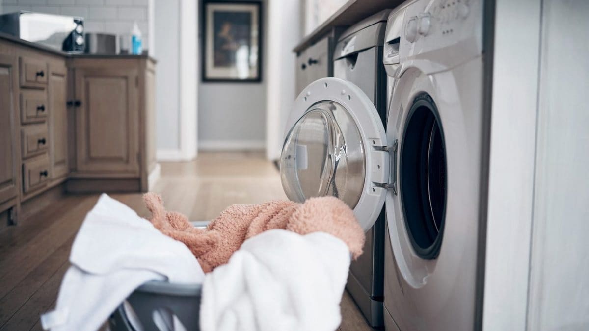 Bonus elettrodomestici green fino a 200 euro: cos’è e come funziona