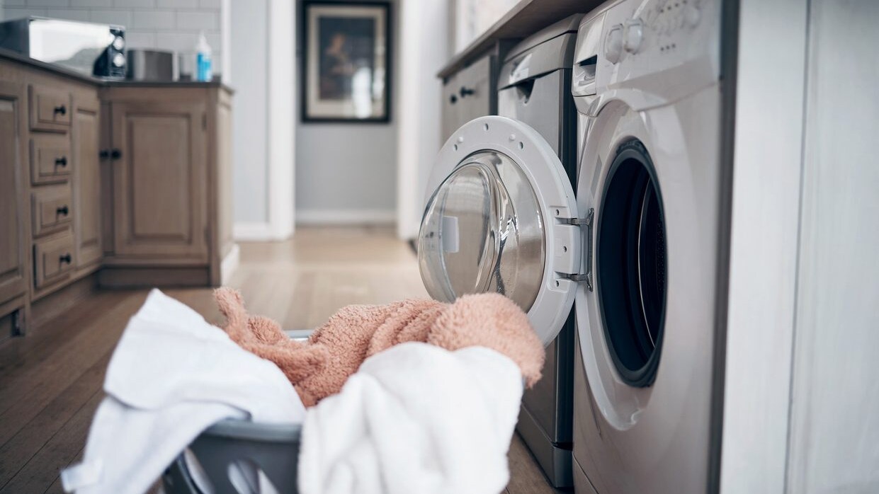 Bonus elettrodomestici green fino a 200 euro: cos’è e come funziona