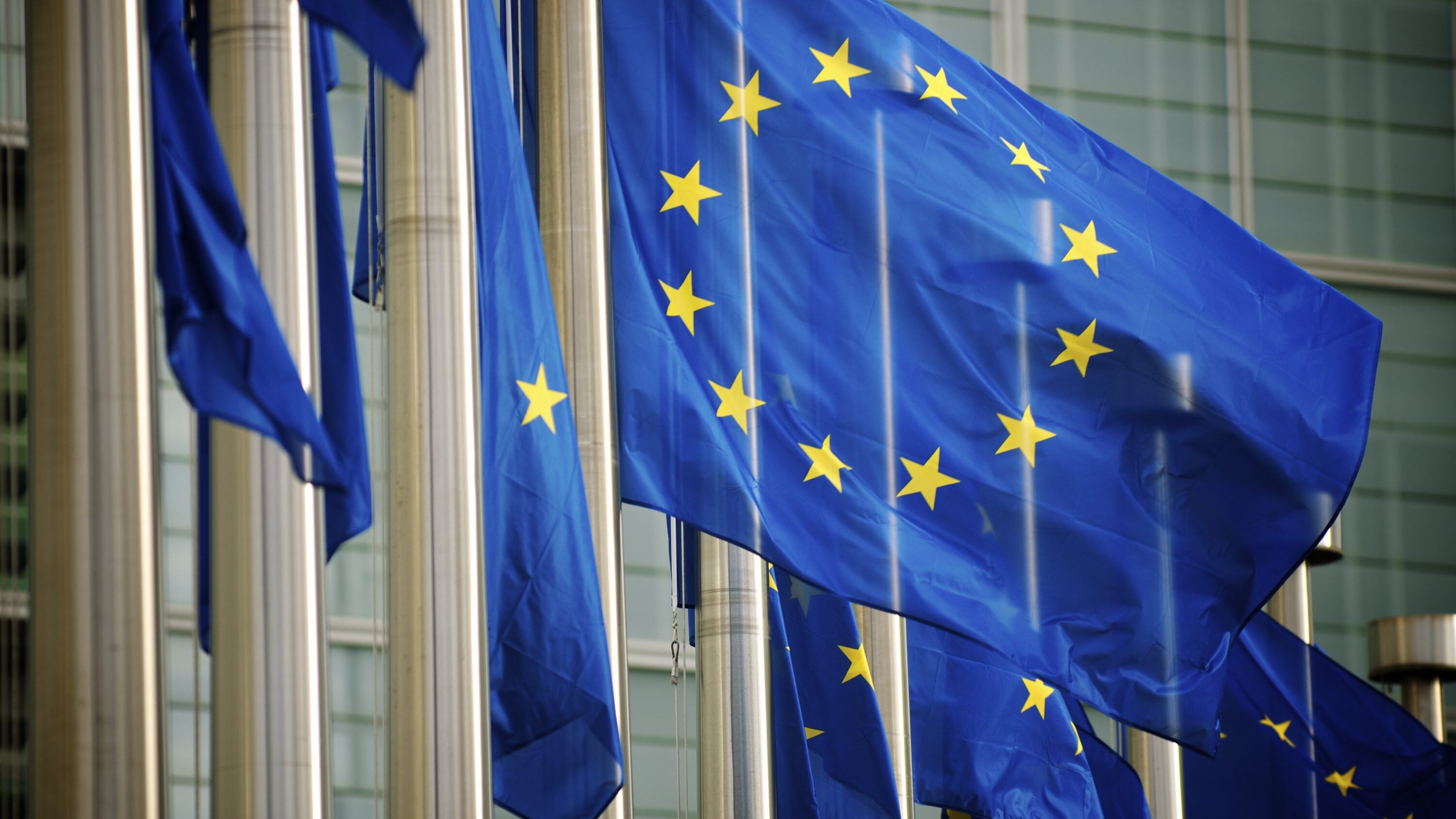 Bandiera dell’Unione Europea: perché ha 12 stelle e perché è blu