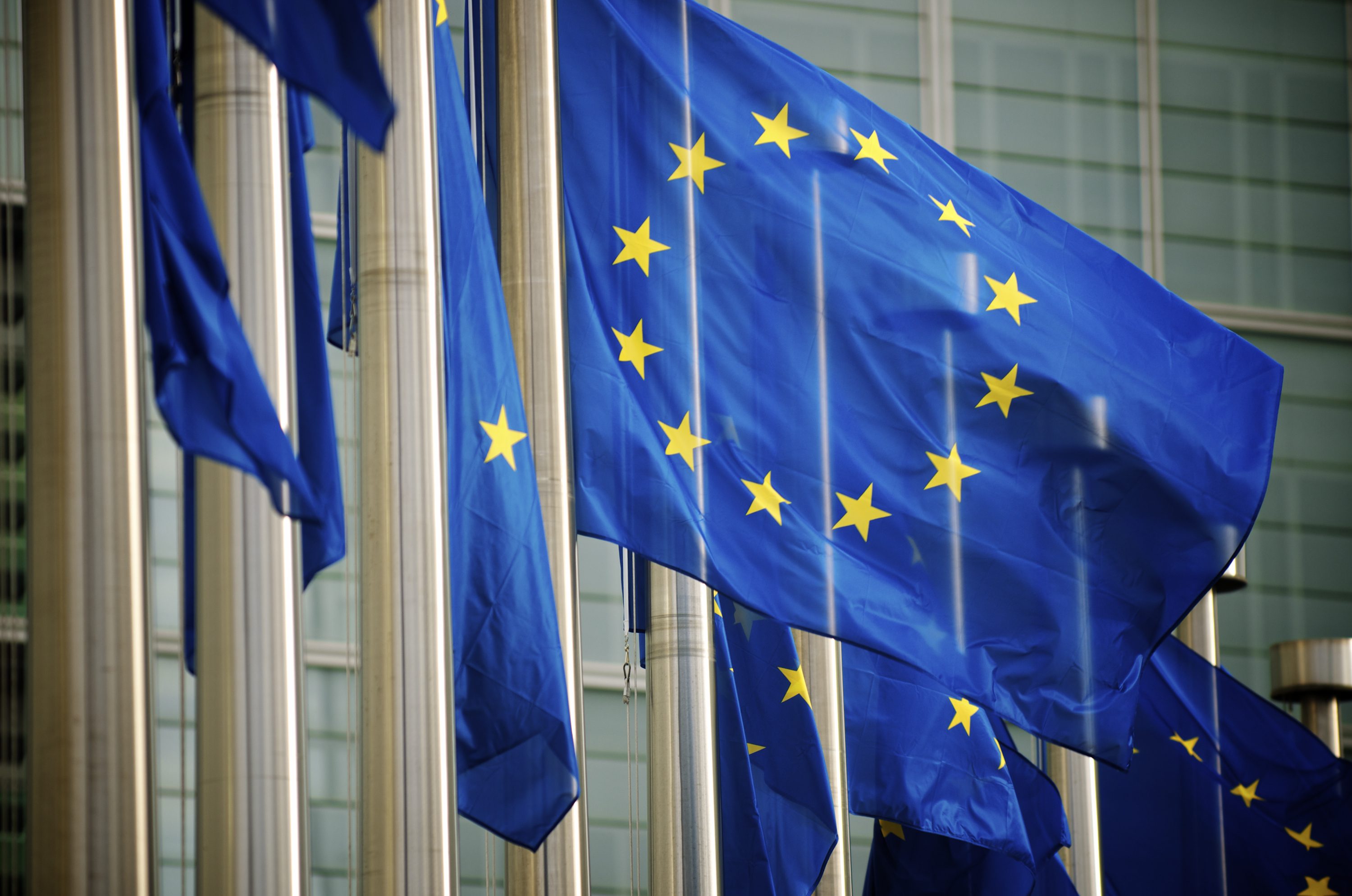 Bandiera dell’Unione Europea: perché ha 12 stelle e perché è blu