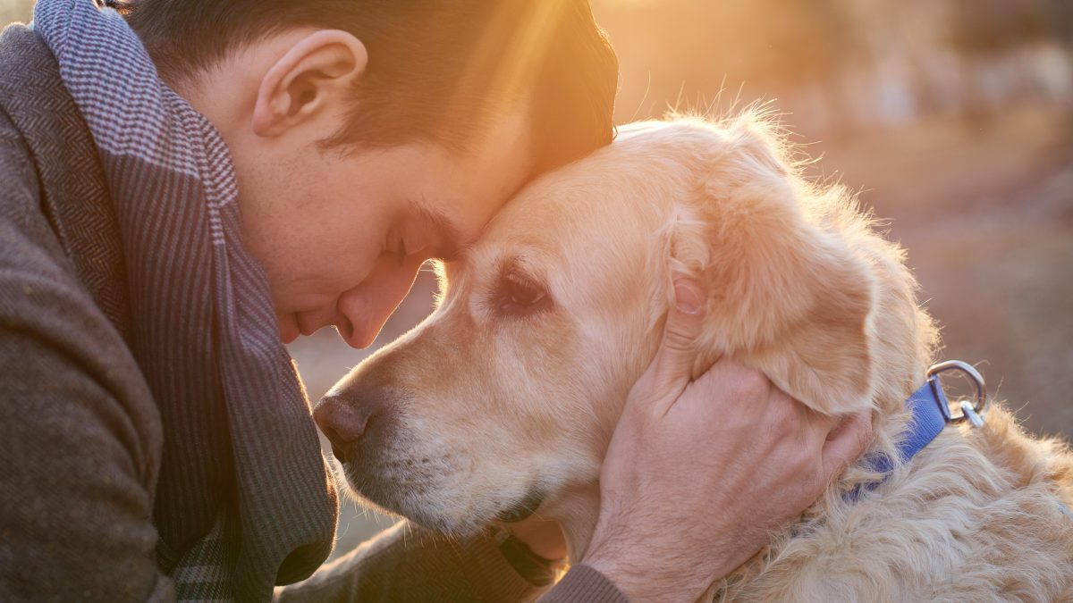 Lasciare il cane legato sotto il sole è reato: lo dice la Cassazione