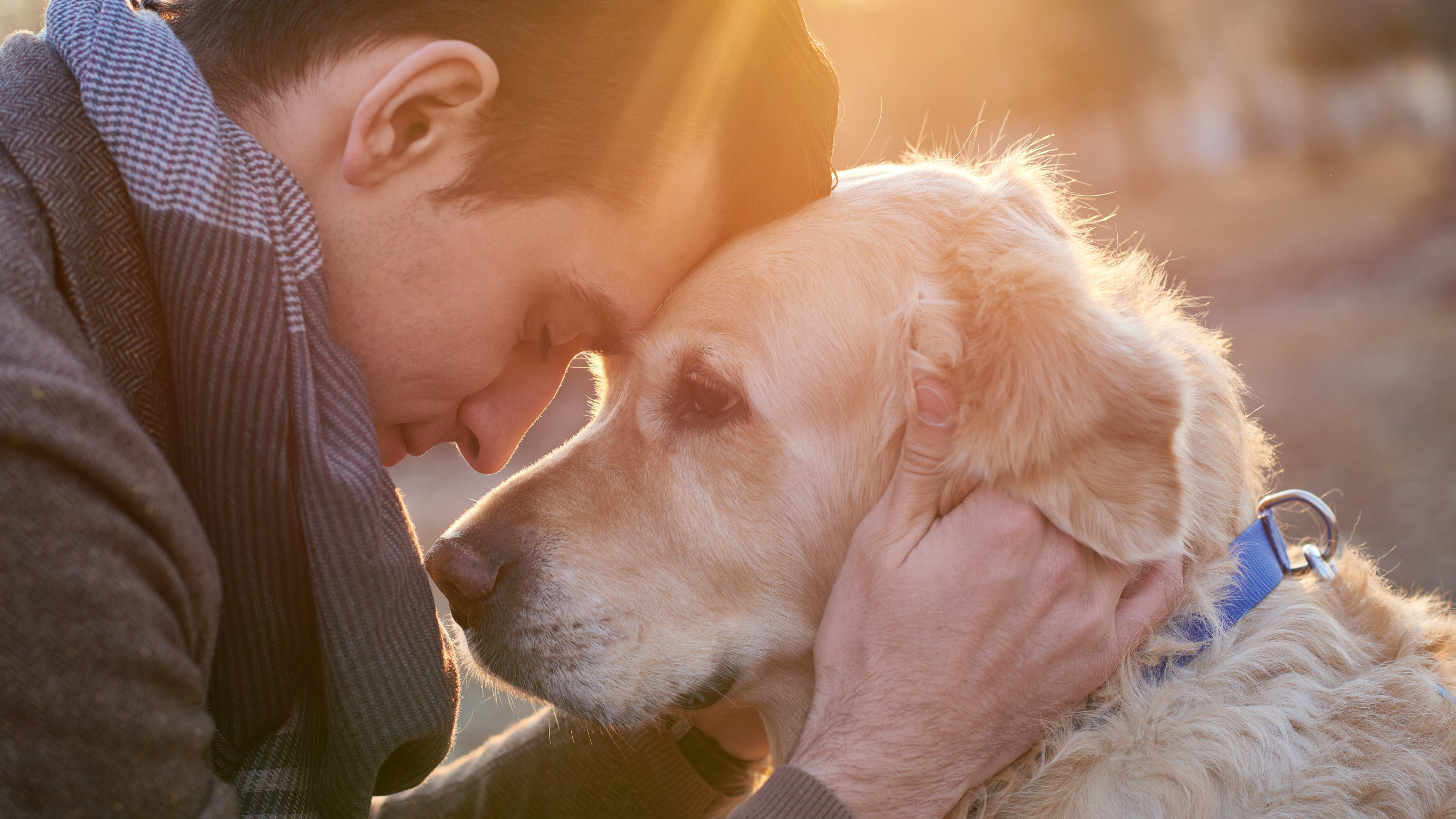 Lasciare il cane legato sotto il sole è reato: lo dice la Cassazione